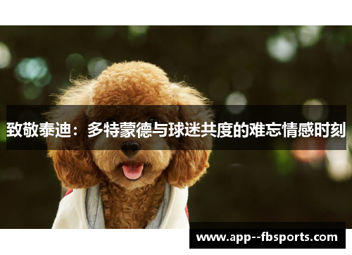 致敬泰迪:多特蒙德与球迷共度的难忘情感时刻 致敬泰迪:多特蒙德与球迷共度的难忘情感时刻
